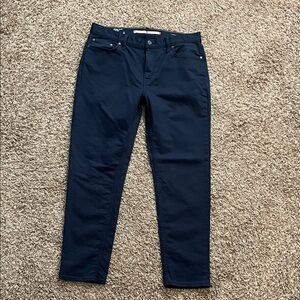 Banana Republic Navy Chinos
